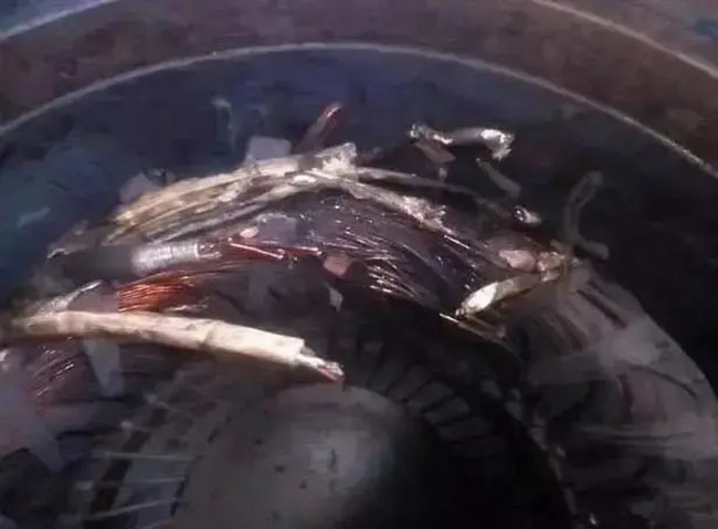 帶熱繼電器保護(hù)的電機(jī)頻繁燒毀的原因是什么？